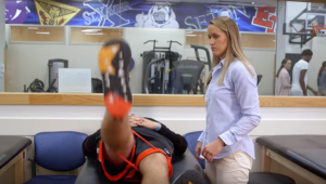 physical therapist degree